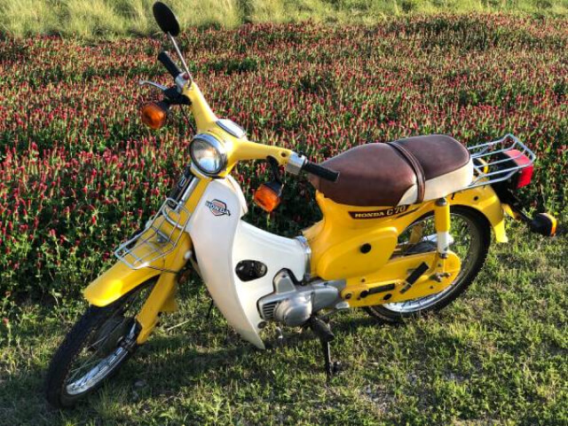 Honda Super Cub for Sale on Craigslist: Discover Your Dream Ride